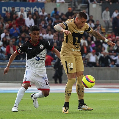 LOBOS VS PUMAS